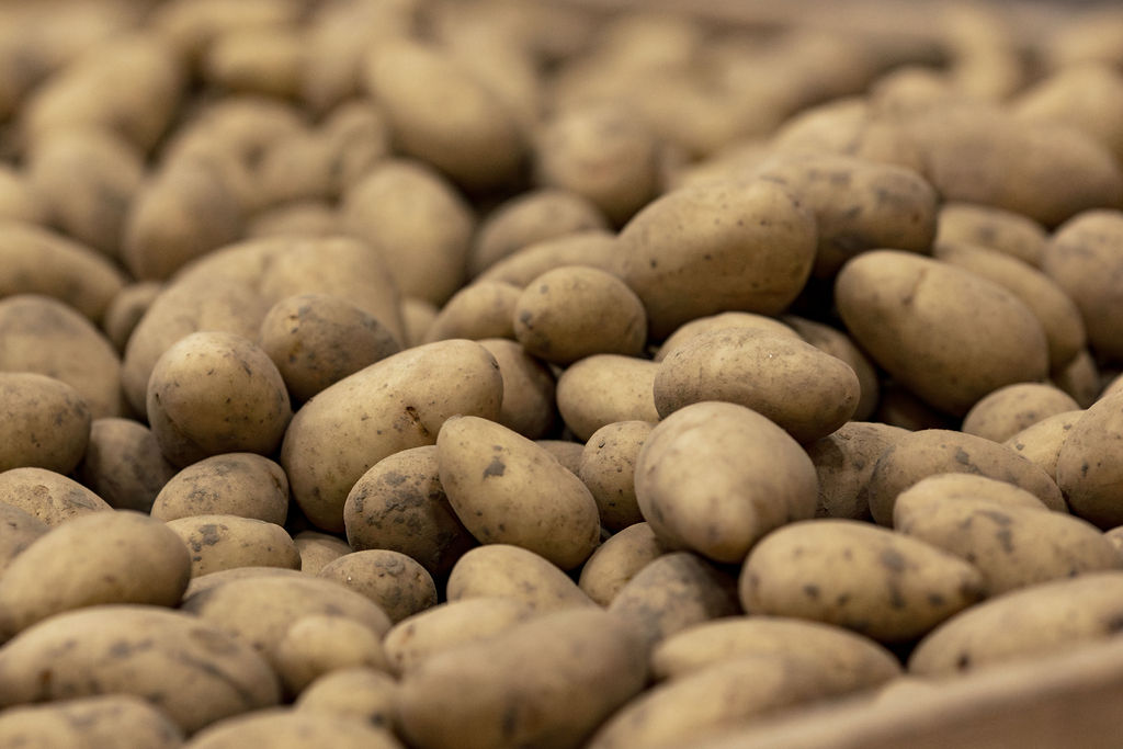 NAKmonsternameschuur55van90