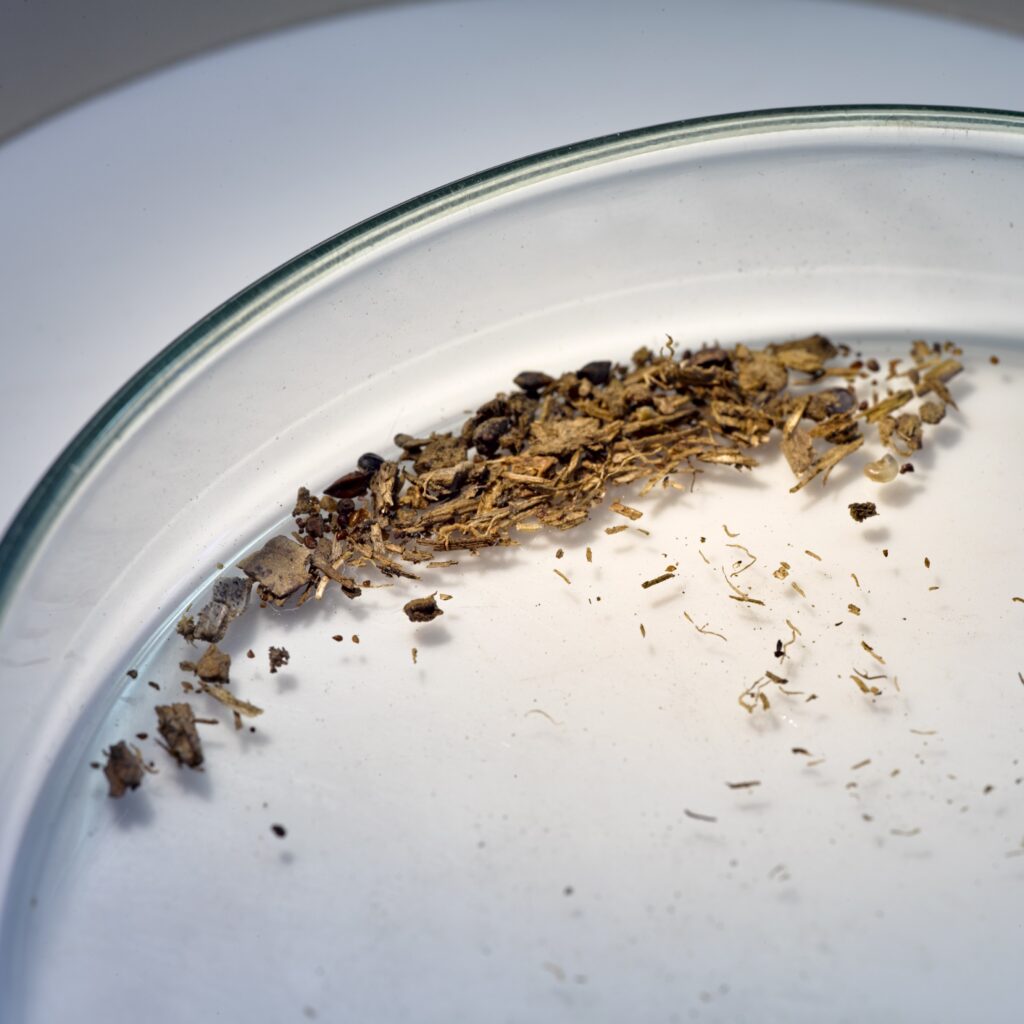 Petrischaal met daarin grondresidu. Gereed voor onderzoek onder de microscoop