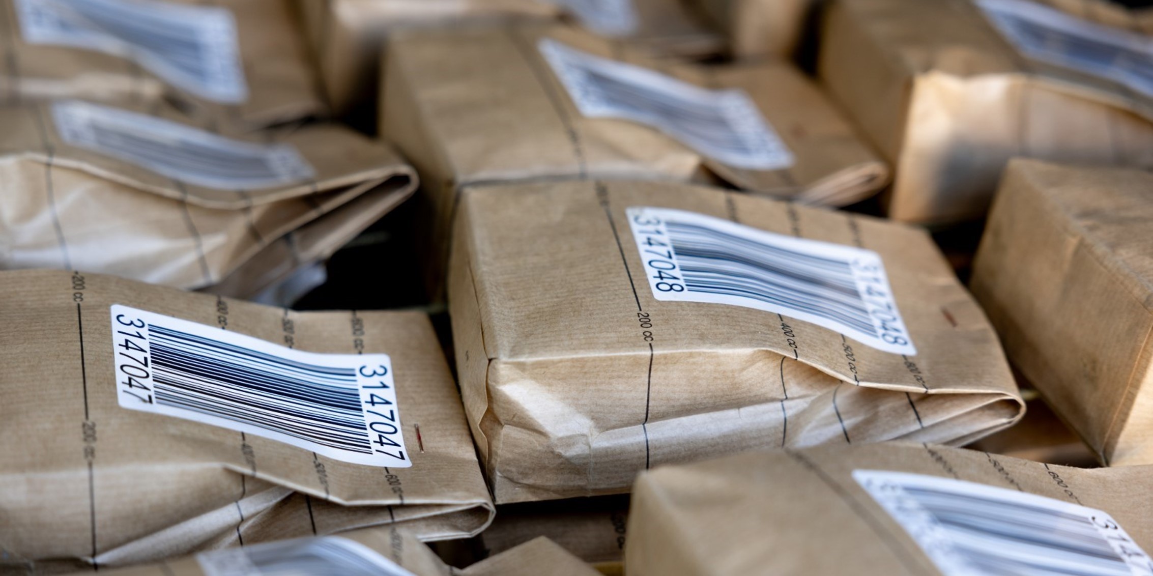 Verbeterde-methode-detectie-en-identificatie-van-aardappelcystenaaltjes_foto