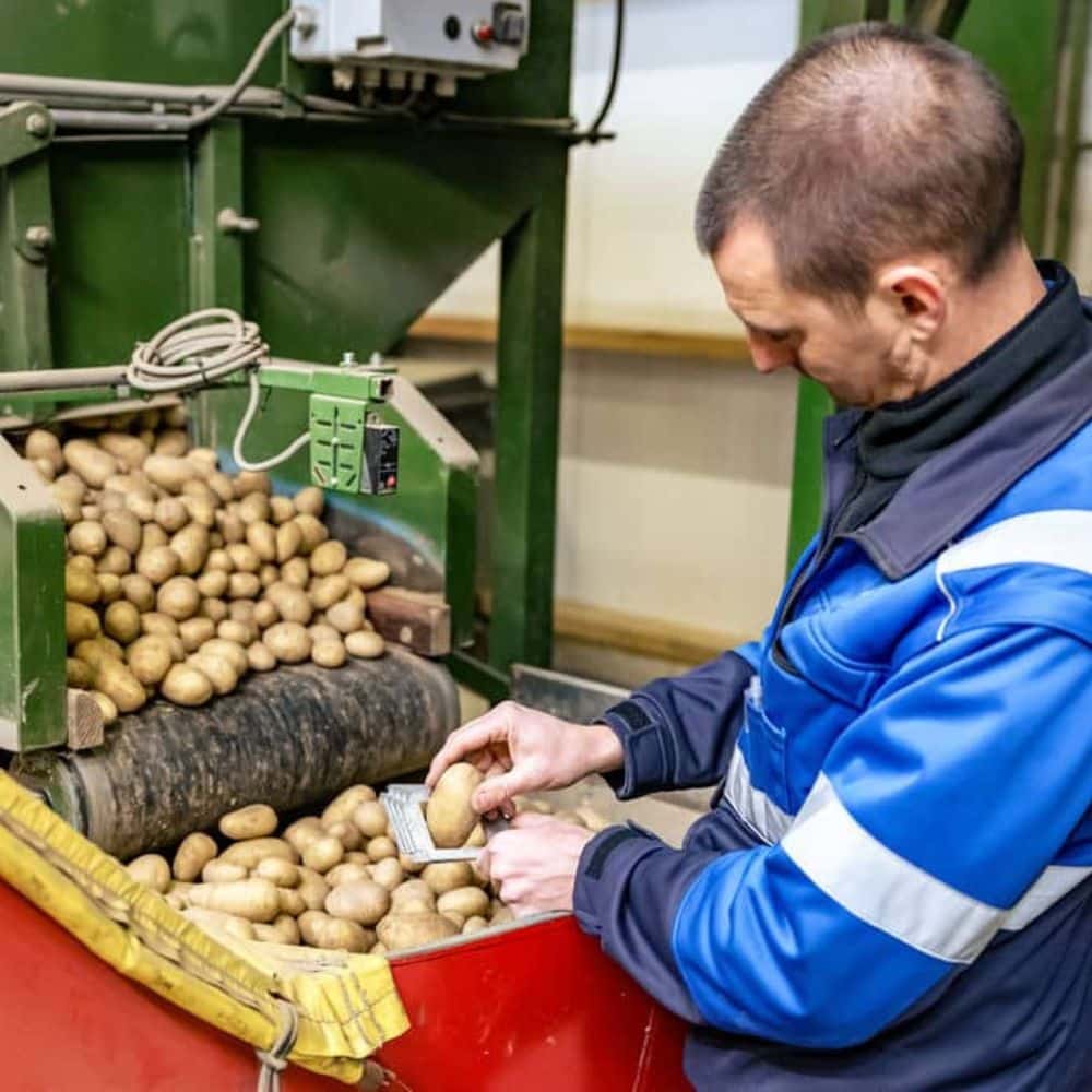 NAK-medewerker controleert aardappelen op kwaliteit tijdens onafhankelijke expertisekeuring