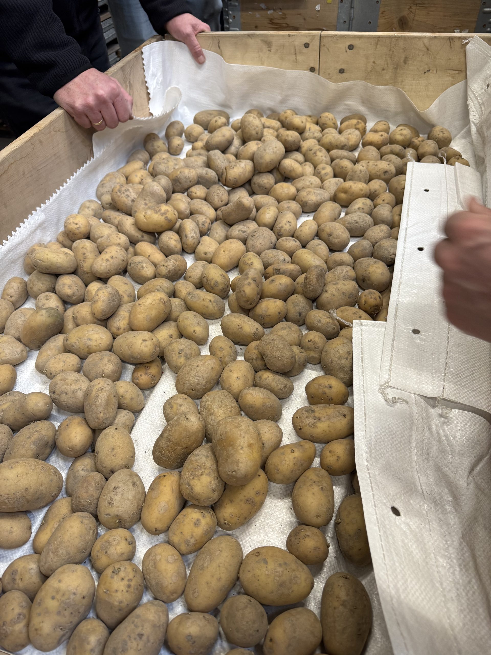 Kennisbijeenkomst-partijkeuring-en-certificering-foto-2-scaled