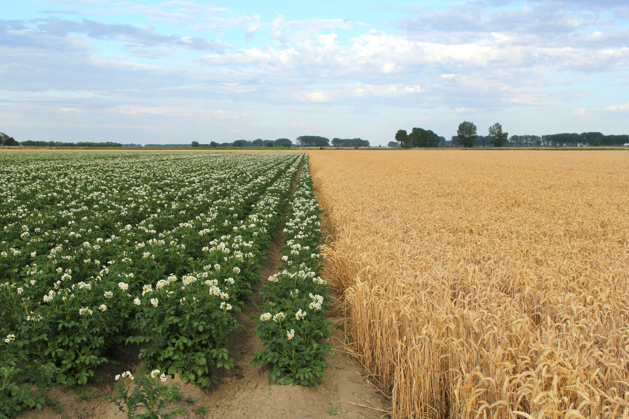 iStock-1590333326_HR_KLEUR-scaled