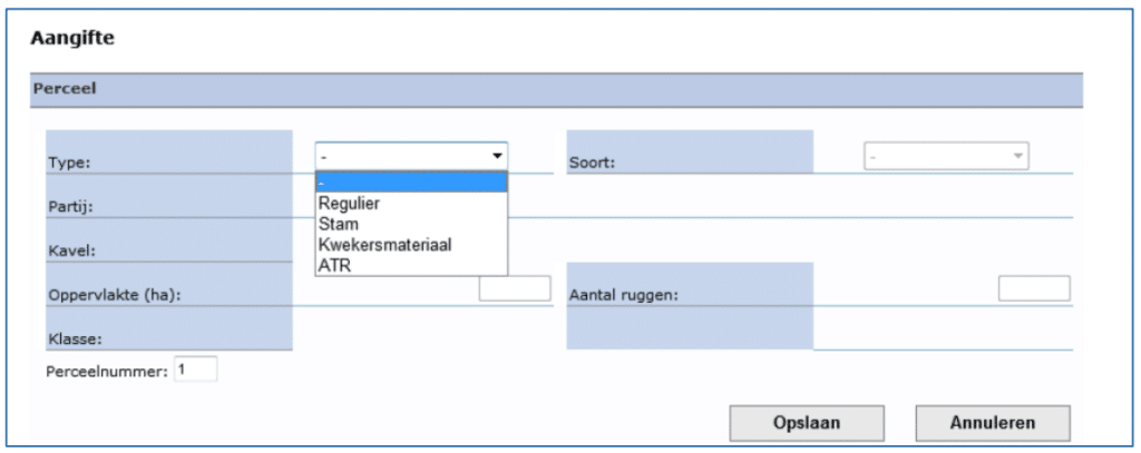 Aangifte Invoer Type Opties Afbeelding