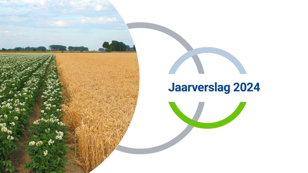 Promo Jaarverslag 2024